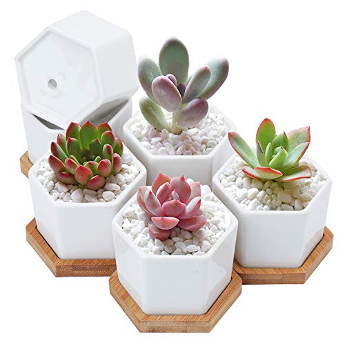 Foraineam 10 Pack Mini Succulent Plant Pots, 2.76 inch Hexagonal White Ceramic Succulent Cactus Planters with Bamboo Tray