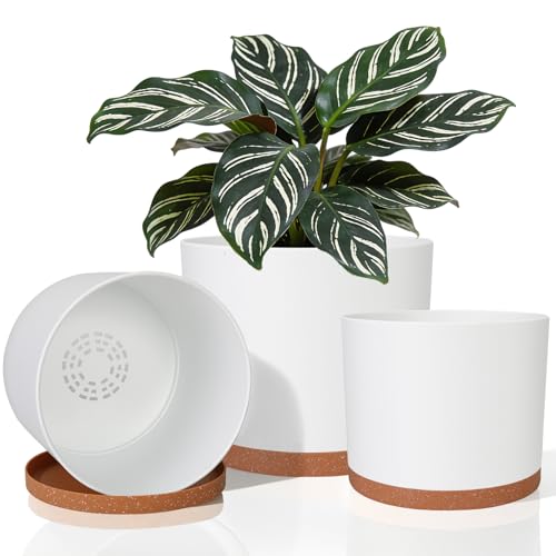 3 Pack Cylinder Planter Set 10/9/8 Inch White Indoor Plant Pots | Modern flower pots with drainage holes and saucers. For outdoor garden, succulent, nursery, and house plants. - color: White-brown