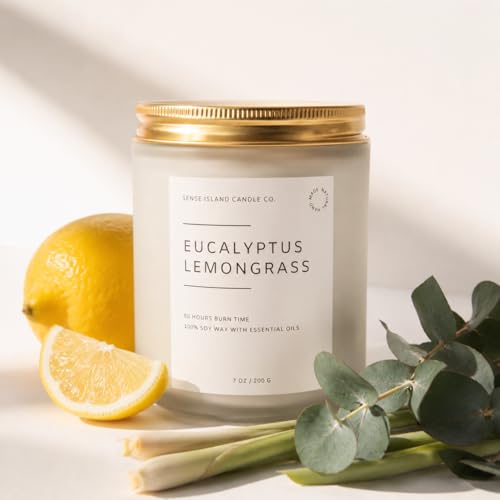 Eucalyptus Lemongrass Scented Candle with Citronella Essential Oil | Contains 6 Essential Oils | 50+ Hrs Long Lasting | Non-Toxic Soy Candle - color: Eucalyptus Lemongrass