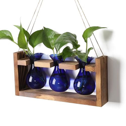 Plant Propagation Station Plant Terrarium Unique Birthday Gifts for Women | Plant Lovers Home Office Decor Planter with Wooden Stand - 3 Bulb Glass Vase - color: Blue