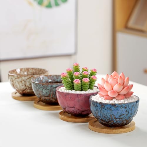 YYW Ceramic Succulent Planter, 4 Pack Cute Garden Pots with Drainage and Attached Saucer - color: Dark Ceramics