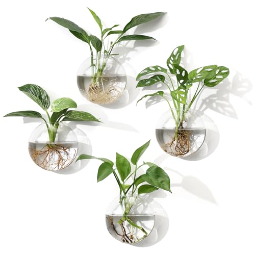 Wall Propagation Planters, 4 Pack Oblate Hanging Plant Holder Vase | Glass Terrariums Station, Hydroponic Indoor Flowers, Excludes Plants, Bathroom Living Room Office Decor, Gift for Plant Lover - size: 5.1"L x 2.4"W x 5"H
