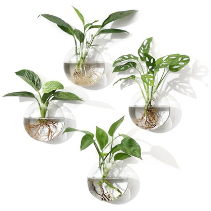 Wall Propagation Planters, 4 Pack Oblate Hanging Plant Holder Vase | Glass Terrariums Station, Hydroponic Indoor Flowers, Excludes Plants, Bathroom Living Room Office Decor, Gift for Plant Lover - size: 5.1"L x 2.4"W x 5"H