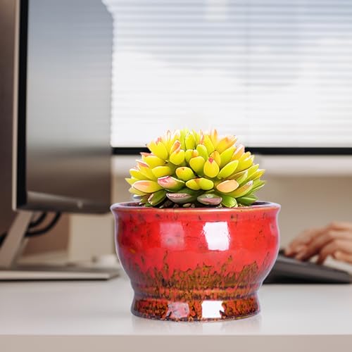ARTKETTY Succulent Pots, 4.3 Inch Small Plant Pots with Drainage Set of 5 | Ceramic Pots for Indoor Plants Glazed Cactus Flower Planter Container - color: 4.3"-round(5pcs)