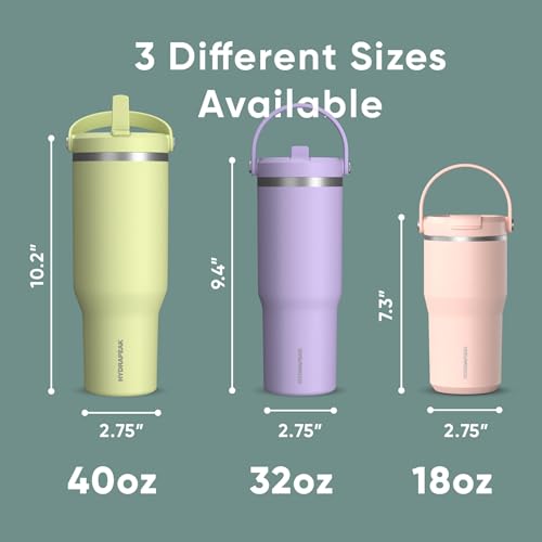 Hydrapeak Nomad 32oz Stainless Steel Insulated Travel Tumbler with Handle & Straw Lid, Leakproof, Cupholder Friendly, Back to School, College Dorm, Gym & Everyday Hydration, Cold 24 Hours (Pale Sage) - color: Pale Sage
