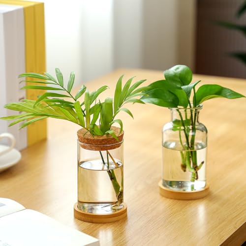 Layhit 4 Pcs Plants Propagation Stations vases Glass Planters with Wooden Lid and Bamboo Stand for Hydroponic Plants Gardening Gifts for Women Mom Home Office Tabletop Decoration(Wide Mouth Style) - style: Beautiful Home Decorations