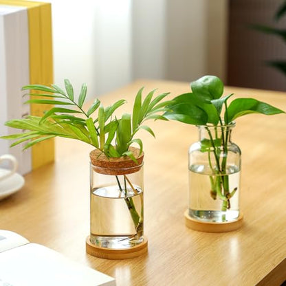 Layhit 4 Pcs Plants Propagation Stations vases Glass Planters with Wooden Lid and Bamboo Stand for Hydroponic Plants Gardening Gifts for Women Mom Home Office Tabletop Decoration(Wide Mouth Style) - style: Beautiful Home Decorations