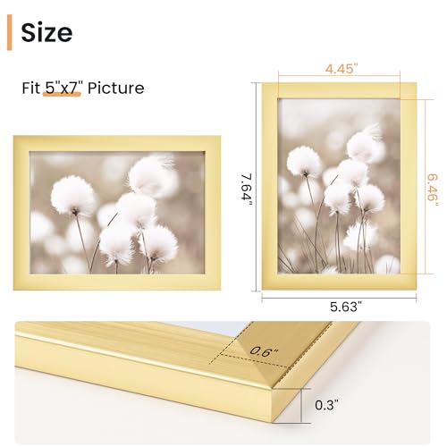 5x7 inch Picture Frame, 5x7 Photo Frames with 4x6 Removable Mat - High Definition Plexiglass - Vertical and Horizontal Display - Wall Hanging Frame - Gold, 12 Pack - color: Gold, size: 5x7, 12P