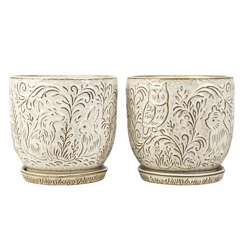 Decorative Ceramic Planter Pot with Saucer, Brown with Gold and Silver Owl Pattern, Indoor Garden Container with Drainage (White, 6 inch) - color: White, size: 6 inch
