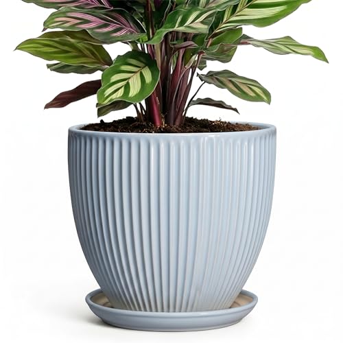Ceramic Flower Pots, 6 Inch Plant Pot for Indoor Plants, Modern Ceramic Planter with Drainage Hole and Saucer, Small Orchid Pots, Home Decor, Gifts for Plant Lovers Women Men, Light Blue - size: 6 Inch, style: Light Blue