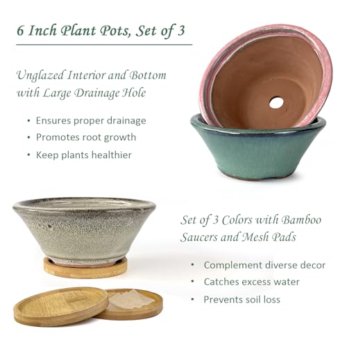 6 Inch Glazed Terracotta Succulent Pot Planter Small Plant Pot with Drainage Hole and Bamboo Saucer Cactus Ceramic Pot Set of 3 (Light Green Pink White)