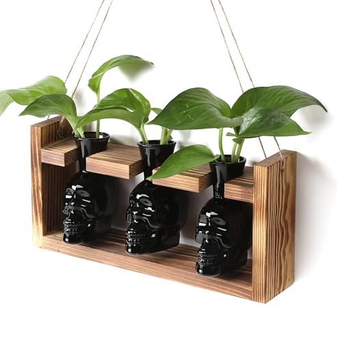 Plant Terrarium Propagation Stations Skull Planter Vase Skulls Decor | Hydroponics Halloween With Wooden Stand Gife for Father - color: Black