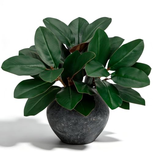 Briful Faux Magnolia Leaves Branches 22in Artificial Magnolia Stems | with Brown Underside Fake Greenery Twigs for Rusitc Vase Filler Centerpiece Farmhouse Home Office Room Decor, 3Pack - color: Short Stem Magnolia Stems