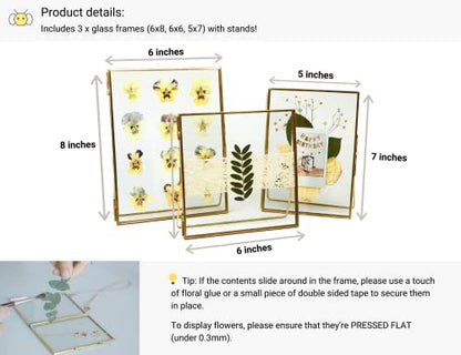 Beedecor Double Glass Frame for Pressed Flowers, Leaf and Artwork Set of 3 Pressed Flower Frames with Stand - 6x6, 5x7 and 6x8 Gold Standing Square Metal Picture Frames, Tabletop Clear Floating Pressed Glass Frame, Home Decor Photo Display (Gold, Set of 3