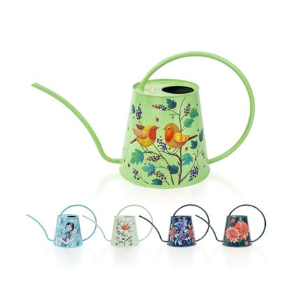 Berry&Bird 2L Long Spout Watering Can, Stainless Steel Water Can (Robin) | 2L stainless steel watering can, long narrow spout, elegant print, curved handle, leakproof, houseplant watering & decor - color: Robin