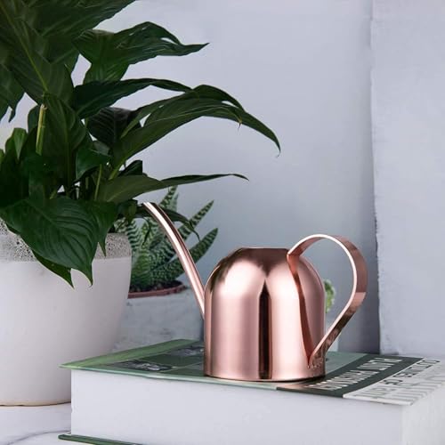 IMEEA Mini Indoor Watering Can for Small Plants, Stainless Steel with Long Spout, 15oz/450ml – Perfect for Desk, Windowsill & Bonsai - color: 15oz (Rose Gold)
