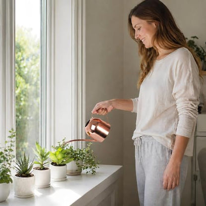 IMEEA 30oz Indoor Plant Watering Can Stainless Steel Long Spout, Rose Gold - color: 30oz (1l) - Rose Gold