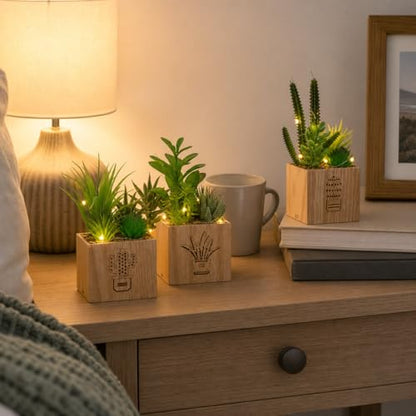 Artificial Succulents with LED Lights, Set of 3 Fake Plants in Wooden Boxes for Indoor Home Decor, Desk, Shelf, Bedroom and Office