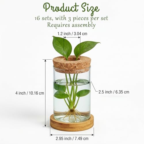 16 Pcs Propagation Vases with Bamboo Stand and Hole Lid, Glass Plant Propagation for Plants Water Hydroponic Desktop Office Home Vase Decoration(Classic Style)