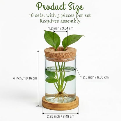16 Pcs Propagation Vases with Bamboo Stand and Hole Lid, Glass Plant Propagation for Plants Water Hydroponic Desktop Office Home Vase Decoration(Classic Style)