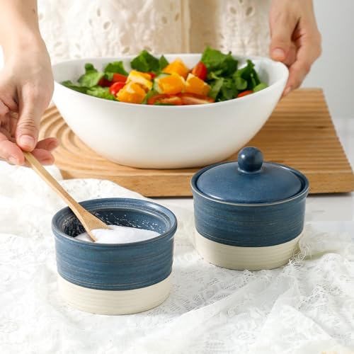 Hasense Salt Cellar Set, Ceramic Salt Box with Lid, 9 oz Stacked Salt Pepper Container for Countertop, Small Spice Bowls for Salt Pepper Sugar, Christmas Gift Ideas, Set of 2, Deep Blue - color: Deep Blue