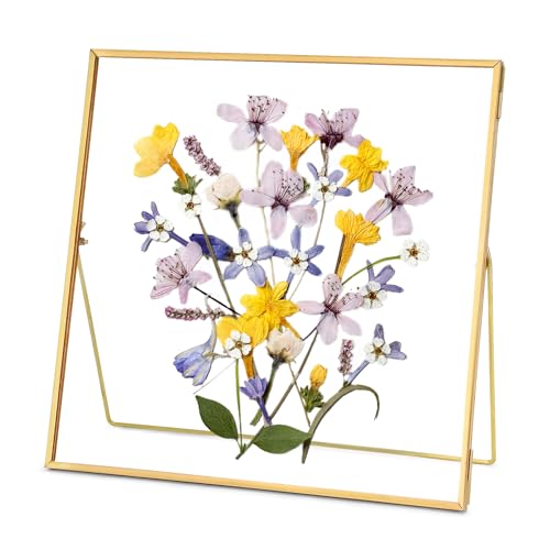 REDHUGO Double Glass Frame for Pressed Flowers, Square, Gold, 10x10 Inches | Handmade, Tabletop Photo Frame for Floating Picture and Flower Press, Simple, Metal Geometric - color: Gold, size: 10L" x 10W"