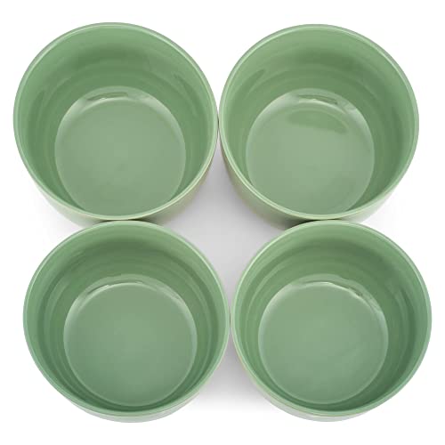 Elanze Designs Bistro Glossy Ceramic 6.5 inch Dinnerware Bowls Set of 4 - Perfect for Everyday uses from Soup, Pasta, Salad, Cereal, Ice cream, Ramen and Pho, Sage Green - color: Sage Green, style: 6.5 inch Soup
