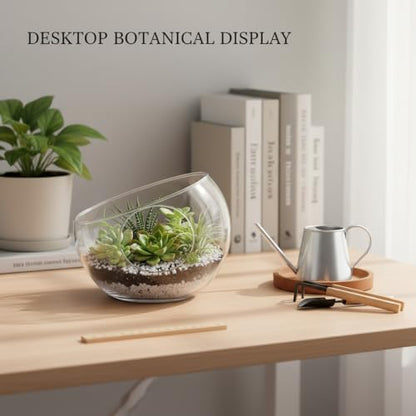Geometric Glass Terrarium, Borosilicate Planter for Succulents and Air Plants, Desktop Display Vessel (1 PC)