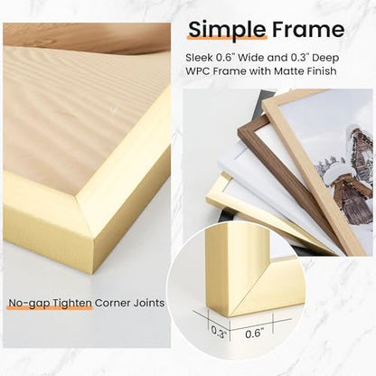5x7 inch Picture Frame, 5x7 Photo Frames with 4x6 Removable Mat - High Definition Plexiglass - Vertical and Horizontal Display - Wall Hanging Frame - Gold, 12 Pack - color: Gold, size: 5x7, 12P