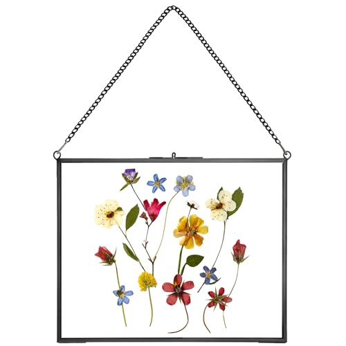 REDHUGO Hanging Pressed Flower Frame Handmade, Black, 8×10 inches | Double Glass Picture Frame Floater frame Floating Frame for Pressed Flowers Home Wall Artwork, Rectangle Horizontal - color: Black, size: 10L" x 8W"
