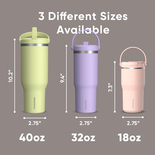 Hydrapeak Nomad 32oz Stainless Steel Insulated Travel Tumbler with Handle & Straw Lid, Leakproof, Cupholder Friendly, Back to School, College Dorm, Gym & Everyday Hydration, Cold 24 Hours (Mocha) - color: Mocha