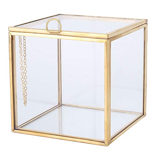 Glass Planter, 3.9in Geometric Terrarium with Gold Copper Frame