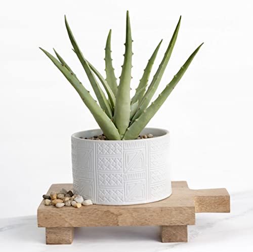 Kurrajong Farmhouse Artificial Plant in White Ceramic Pot | 10" high sage Green Faux Agave Plant | Fake Plant for Desk Decor | Artificial Agave for Home Decor | Artificial Succulent for Shelf Decor