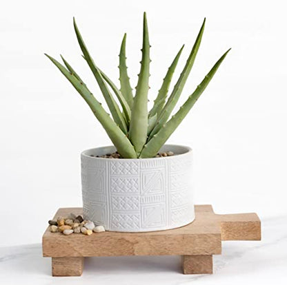Kurrajong Farmhouse Artificial Plant in White Ceramic Pot | 10" high sage Green Faux Agave Plant | Fake Plant for Desk Decor | Artificial Agave for Home Decor | Artificial Succulent for Shelf Decor