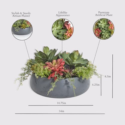 CG Hunter Faux Succulent Arrangement, Premium Artificial Indoor Plant Enhances Interior Design, Display on Any Surface in Your Home Adding an Inviting Touch of Nature, Grey Planter Pot Included - size: 14" Round Grey