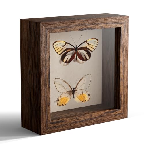 5x5 Small Shadow Box Picture Frame Display Case with Soft Linen Back, Brown Wooden Memory Shadow Box Frame with Tempered Glass Cover for Wall or Tabletop Display - color: Brown, size: 5x5