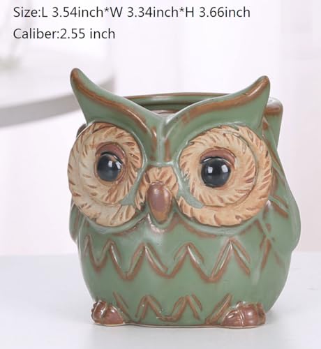 Cute Animal Shaped Vase Pot Home Decoration for Small Succulent Plants Cartoon Flower Pot Ceramic Succulent Planter with Drainage Hole Succulent Holder (Owl) - size: Owl