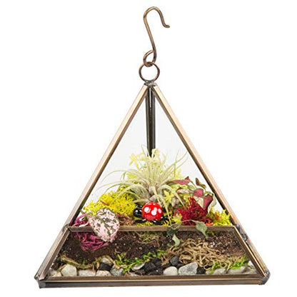 D'Eco Glass Copper Mini Triangle Tabletop or Hanging Planter Terrarium | Geometric Planter Terrarium, Fill Display w Succulents, Moss, Air Plants, Ferns, Home, Wedding & Office Decor, Dims:5x5x5"