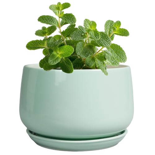 G EPGardening Ceramic Plants Pots - 4 inch Plant Pots Indoor Outdoor, Small Succulent Planter with Drainage Hole & Tray, Modern Flower Pot, Round Decorative Planters, Office Decor, Garden Gift, Green - color: Mint Green, size: 4 Inch