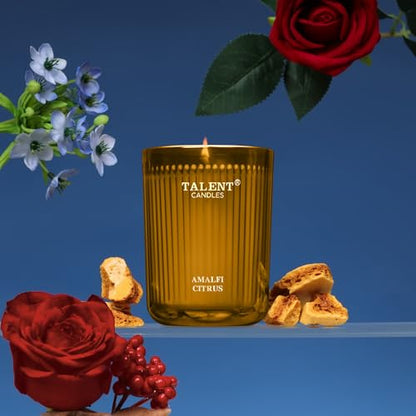 Jar Candles for Home Scented | Aromatherapy Candles Gifts for Women & Men | Natural Soy Candle | 8.4oz Traditional Style | Amalfi Citrus - color: Amalfi Citrus