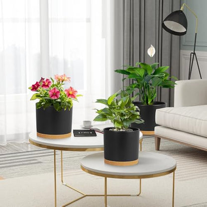 Large Plant Pots Set of 3 – 8", 9", 10" Indoor Flower Pots with Drainage Holes and Saucers, Big Planters for Monstera, Fiddle Leaf Fig, Snake Plant – 5 Colors - color: Black With Brown Base