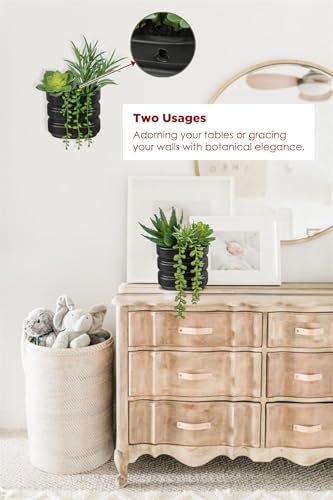 Fake Succulents in Ceramic Pots Dual Use Artificial Succulents Arrangement in Black Vase Hanging Succulents Plants Artificial Small Fake Plants for Desk Office Decor Faux Succulents Desk Plant-2
