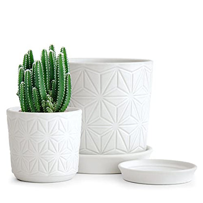 D'vine Dev 2-Pack Geometric Stoneware Planters, 3.8/5.8 in, White, 99-E-1 | Drainage Hole and Saucer, Sculptural Geometric Design, Rich Glazed Surface, Modern Style, Elegant Accent for Indoor Plants - color: White