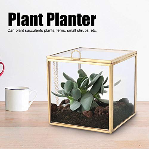 Glass Planter, 3.9in Geometric Terrarium with Gold Copper Frame