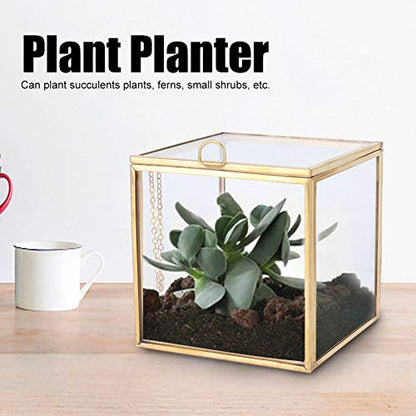 Glass Planter, 3.9in Geometric Terrarium with Gold Copper Frame