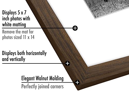 Americanflat 11x14 Picture Frame - Matted to 5x7 - Engineered Wood - Walnut | Shatter-resistant glass, hangs vertical or horizontal, sawtooth hangers included, use with or without mat - color: Walnut