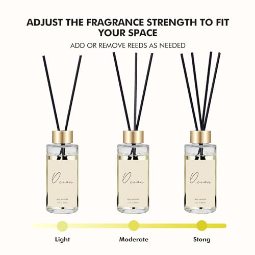 Reed Diffuser Set of 3, Eucalyptus, Linen, Ocean Oil Diffusers with Sticks | 1.7 fl oz Each, Total 5.1 oz, Long-Lasting Essential Oil Home Fragrance, Air Freshener for Bedroom, Bathroom Decor