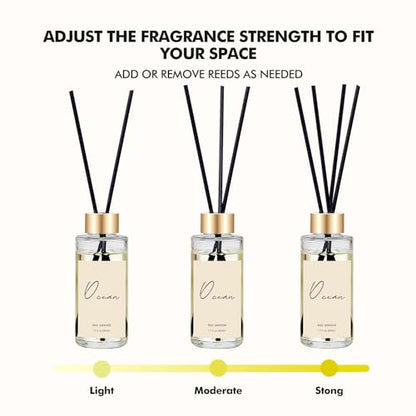 Reed Diffuser Set of 3, Eucalyptus, Linen, Ocean Oil Diffusers with Sticks | 1.7 fl oz Each, Total 5.1 oz, Long-Lasting Essential Oil Home Fragrance, Air Freshener for Bedroom, Bathroom Decor