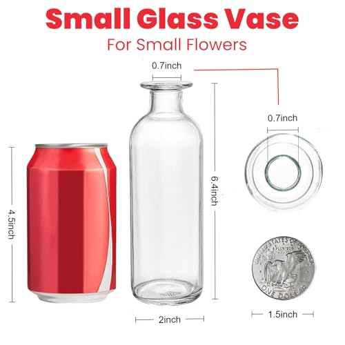 Peohud Set of 12 Glass Bud Vases, Clear Small Flower Vases, Decorative Glass Bottles Floral Vases for Home Decor, Wedding Reception, Party