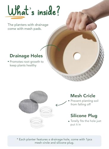 LE TAUCI Succulent Planters, 6.5+8 Inch Ceramic Indoor Plant Pot with Drainage Hole, Shallow Round Succulent Pots, Set of 2, Reactive Glaze White - color: Reactive Glaze White